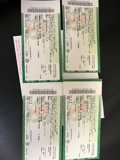 HY SKYFES 3月19日 チケット4枚