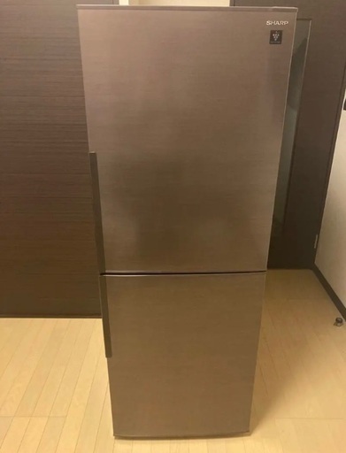 シャープ2019年製冷蔵庫