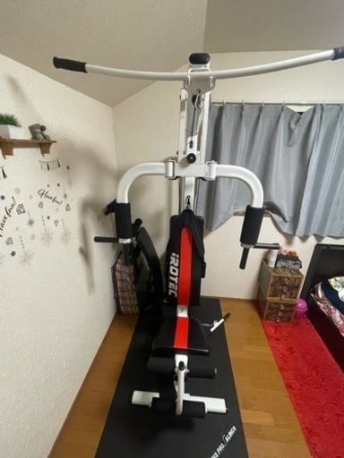 IROTEC (アイロテック) マルチホームジム