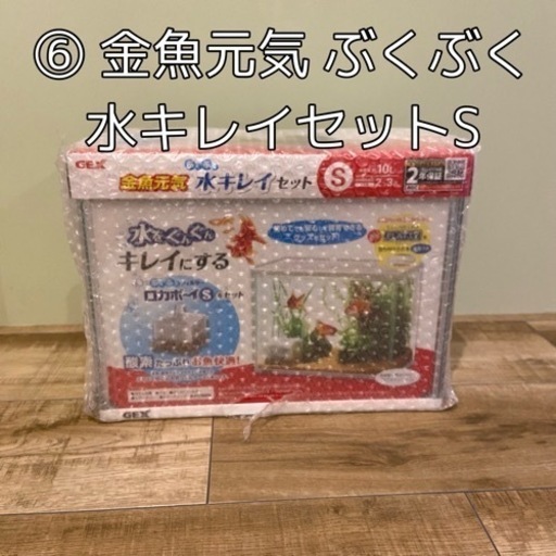 ⑥ 金魚元気 ぶくぶく水キレイセットS