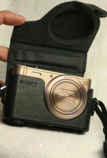 Sony Cyber-Shot DSC-WX300 ブラウン 20x ＋ソフトケース付き 【公式通販】