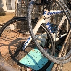 Cervelo p2  サーベロ  本日限定投稿 本日取引値下げ可能