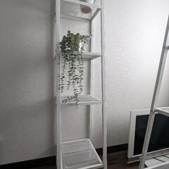 IKEA　IKEA　レールベリ　ラックと観葉植物セット