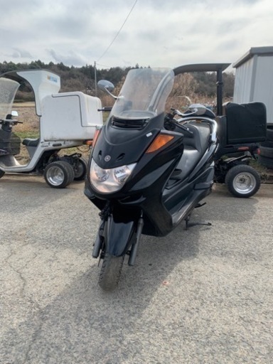 ヤマハマジェスティ250 実動車！