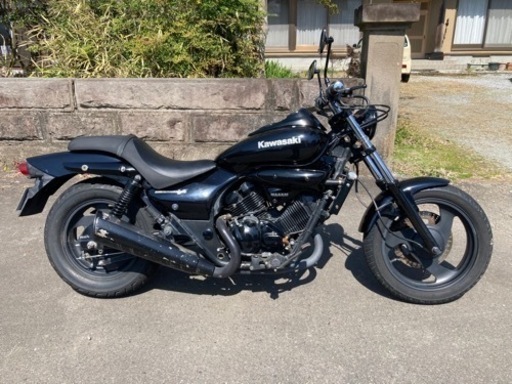 エレミネーター250V