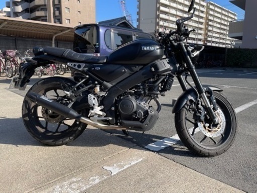YAMAHA xsr155
