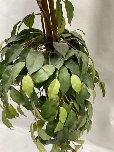 花かごの絵画 真作】絵画 作者不詳 油彩 花 バスケットに咲く黄色い花