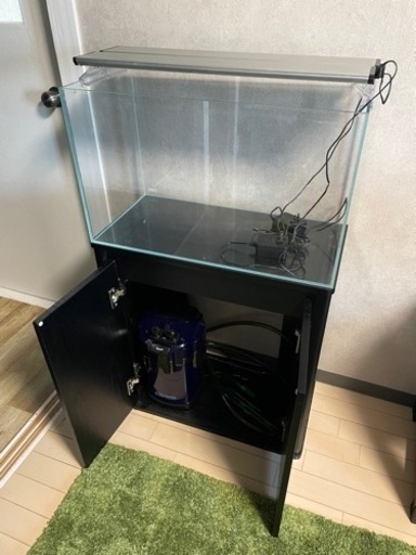 ADA60cm 水槽　GEX CLEAR LEDPOWER×2 コトブキ工芸プロスタイル600sブラック、tetra EX POWERFLLTER vx75、
