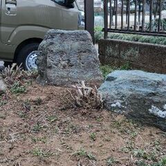 大きい庭石