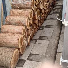 針葉樹　薪　玉切り済　新潟市東区からの出品