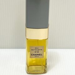 シャネル　CHANEL　N°19 オードトワレ 100ml　香水