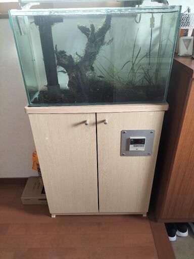 60センチオーバーフロー