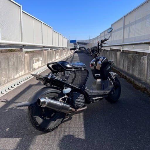 値下げ中 HONDA ズーマー af58 キャブ車 | complexesantalucia.com