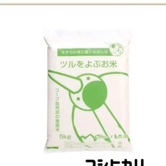 【ネット決済・配送可】玄米　無農薬　コシヒカリ