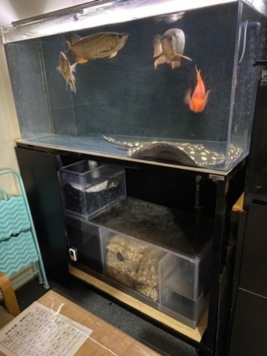 120・60・60水槽セット