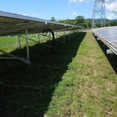 太陽光発電所の除草作業（除草剤散布）