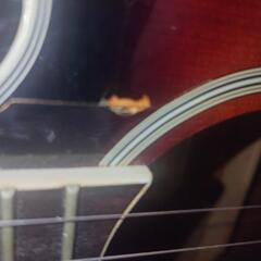 アコースティックギター これから始めたい方にオススメのエレアコです。