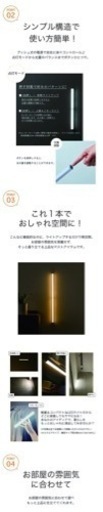 ライト2本　TYPE️ 昼白色⭐︎