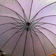 桜色長傘