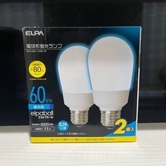 ELPA エルパ 電球形蛍光灯ランプ 2個セット