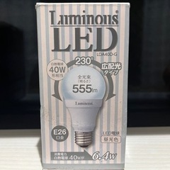 Luminous LED電球 