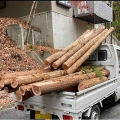 🌲杉丸太！🌲軽トラ一台分！18000円《チェーンソー持参でお願いします》