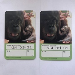 円山動物園年間パスポート２枚