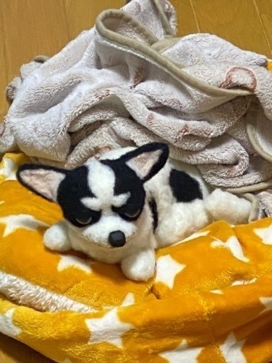 羊毛フェルトで作る貴方の愛犬