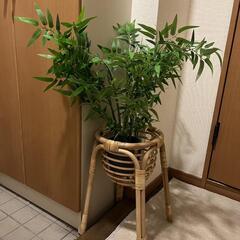 観葉植物 フェイク