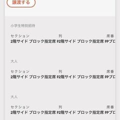 【ネット決済】横浜ビーコルセアーズ　チケット