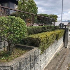 お庭の剪定、伐採、お庭のことなら何でもお気軽にご相談ください - 岩出市