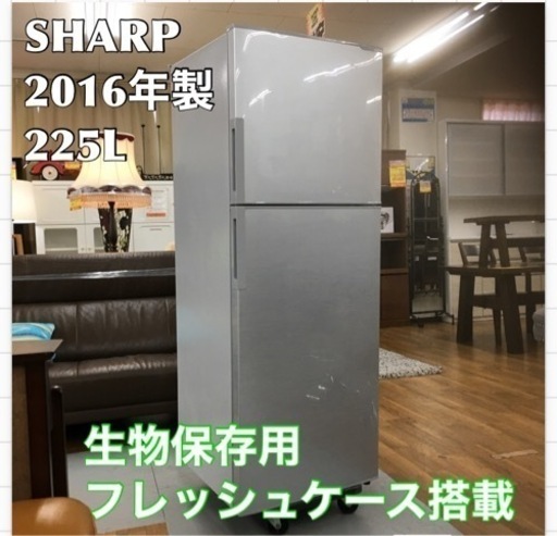 S217 ★ SHARP 冷蔵庫 (225L) 2ドア ⭐ 動作確認済 ⭐ クリーニング済