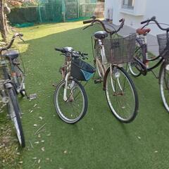 自転車4台無料