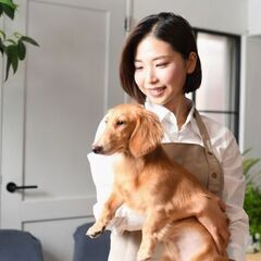 【渋谷】半年後には正社員★子犬・子猫の販売スタッフ♪(W1G-0...