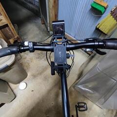 2022年式　限定車BESV PSA1