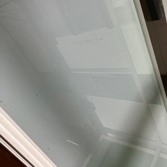 パンテオン白9045 爬虫類　小動物