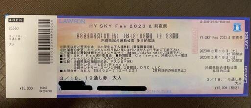 HY Skyfes スカイフェス　２日通しチケット