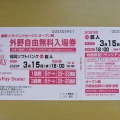 PayPayドームプロ野球オープン戦チケット