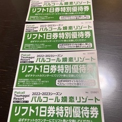 【ネット決済・配送可】パルコール嬬恋1日リフト券券