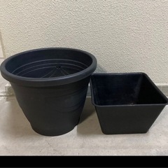 自家培養PSB 2ℓ  と  メダカ用　飼育鉢 2種