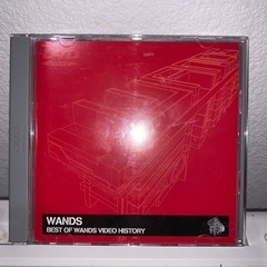 『BEST OF WANDS VIDEO HISTORY』