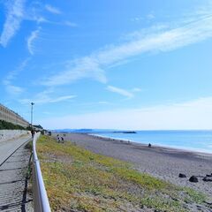 春の海風香るRUN and YOGA in 茅ケ崎海岸 - スポーツ