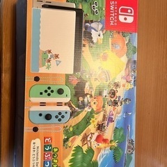 Switch どうぶつの森モデル 