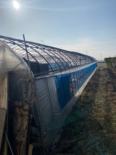 ビニールハウス骨組み