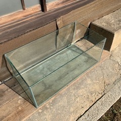 特価】高嶺のなでしこ松本ももな直筆サイン入りチェキ