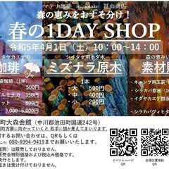 森の恵みを販売！樹液珈琲や樹皮、薪が買える【春の1DAY SHOP】