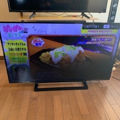 本日特価　TOSHIBA REGZA 50Vインチ