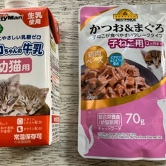 キャットフード　子猫用　牛乳　ミルク