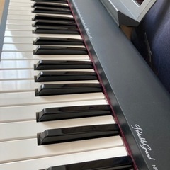 YAMAHA NP-30