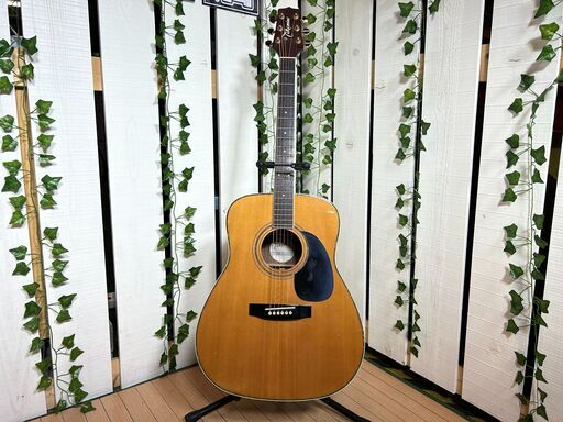 愛品館八千代店  アコースティックギター 海外モデル